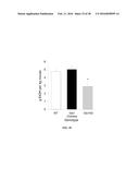 METHODS AND COMPOSITIONS FOR INHIBITING GLYOXALASE 1 (GLO1) diagram and image