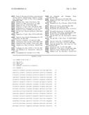 COMPOSITIONS AND METHODS FOR THE TREATMENT OF DISORDERS INVOLVING     EPITHELIAL CELL APOPTOSIS diagram and image