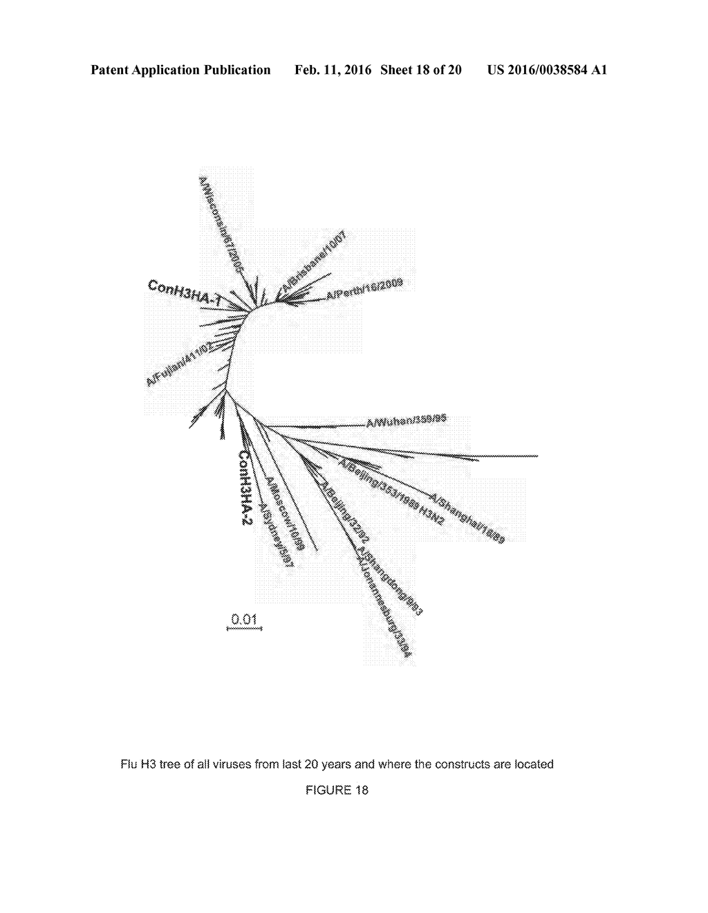 Influenza Nucleic Acid Molecules And Vaccines Made Therefrom - diagram, schematic, and image 19