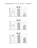 INFLUENZA VIRUS REASSORTMENT diagram and image