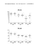 INFLUENZA VIRUS REASSORTMENT diagram and image