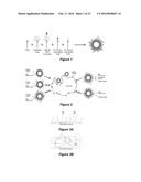 NANOPARTICLE DRUG DELIVERY SYSTEMS diagram and image