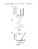 NANOPARTICLE DRUG DELIVERY SYSTEMS diagram and image