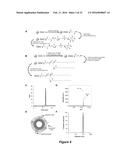 NANOPARTICLE DRUG DELIVERY SYSTEMS diagram and image