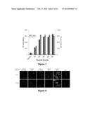 NANOPARTICLE DRUG DELIVERY SYSTEMS diagram and image