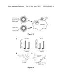 NANOPARTICLE DRUG DELIVERY SYSTEMS diagram and image