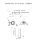 NANOPARTICLE DRUG DELIVERY SYSTEMS diagram and image