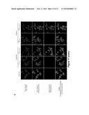 NANOPARTICLE DRUG DELIVERY SYSTEMS diagram and image