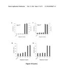 NANOPARTICLE DRUG DELIVERY SYSTEMS diagram and image