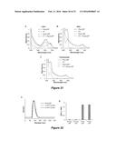 NANOPARTICLE DRUG DELIVERY SYSTEMS diagram and image