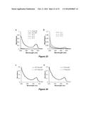 NANOPARTICLE DRUG DELIVERY SYSTEMS diagram and image