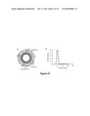 NANOPARTICLE DRUG DELIVERY SYSTEMS diagram and image