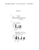 DELIVERY OF POLYNUCLEOTIDES USING RECOMBINANT AAV9 diagram and image