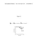 DELIVERY OF POLYNUCLEOTIDES USING RECOMBINANT AAV9 diagram and image