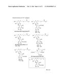 SACCHARIDE CONJUGATES diagram and image