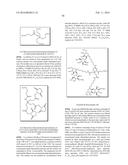 SACCHARIDE CONJUGATES diagram and image