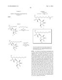 SACCHARIDE CONJUGATES diagram and image