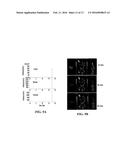 SUBSTITUTED ORGANOFLUOROBORATES AS IMAGING AGENTS diagram and image