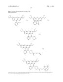 SUBSTITUTED ORGANOFLUOROBORATES AS IMAGING AGENTS diagram and image