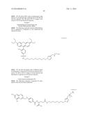 SUBSTITUTED ORGANOFLUOROBORATES AS IMAGING AGENTS diagram and image