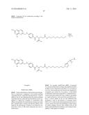 SUBSTITUTED ORGANOFLUOROBORATES AS IMAGING AGENTS diagram and image