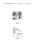 Adaptive Drug Delivery from an Artificial Polymer Skin with Tunable     Properties for Tissue Engineering diagram and image