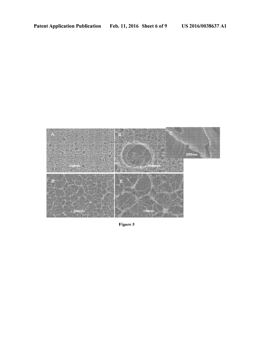 MODIFIED SILK FILMS CONTAINING GLYCEROL - diagram, schematic, and image 07