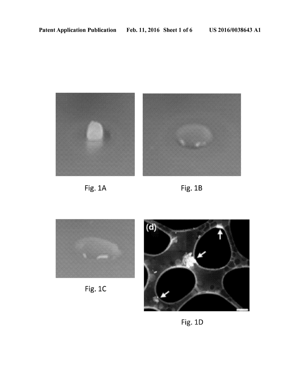 HYDROGEL PRECURSORS HAVING NANOPARTICLES - diagram, schematic, and image 02