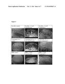 COMPOUNDS AND COMPOSITIONS FOR DRUG RELEASE diagram and image