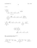 RESORUFIN DERIVATIVES FOR TREATMENT OF OXIDATIVE STRESS DISORDERS diagram and image