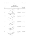 NOVEL ANALOGUES OF EPICATECHIN AND RELATED POLYPHENOLS diagram and image