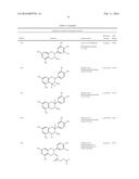 NOVEL ANALOGUES OF EPICATECHIN AND RELATED POLYPHENOLS diagram and image