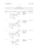 NOVEL ANALOGUES OF EPICATECHIN AND RELATED POLYPHENOLS diagram and image