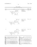 NOVEL ANALOGUES OF EPICATECHIN AND RELATED POLYPHENOLS diagram and image