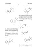 NOVEL ANALOGUES OF EPICATECHIN AND RELATED POLYPHENOLS diagram and image