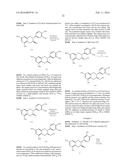 NOVEL ANALOGUES OF EPICATECHIN AND RELATED POLYPHENOLS diagram and image