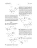 NOVEL ANALOGUES OF EPICATECHIN AND RELATED POLYPHENOLS diagram and image