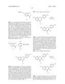 NOVEL ANALOGUES OF EPICATECHIN AND RELATED POLYPHENOLS diagram and image