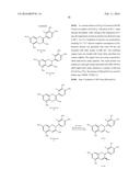 NOVEL ANALOGUES OF EPICATECHIN AND RELATED POLYPHENOLS diagram and image