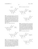 NOVEL ANALOGUES OF EPICATECHIN AND RELATED POLYPHENOLS diagram and image