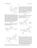 NOVEL ANALOGUES OF EPICATECHIN AND RELATED POLYPHENOLS diagram and image