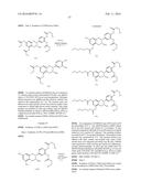 NOVEL ANALOGUES OF EPICATECHIN AND RELATED POLYPHENOLS diagram and image