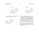 NOVEL ANALOGUES OF EPICATECHIN AND RELATED POLYPHENOLS diagram and image