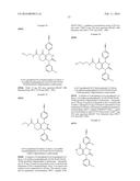 SUBSTITUTED BICYCLIC DIHYDROPYRIMIDINONES AND THEIR USE AS INHIBITORS OF     NEUTROPHIL ELASTASE ACTIVITY diagram and image