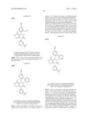 SUBSTITUTED BICYCLIC DIHYDROPYRIMIDINONES AND THEIR USE AS INHIBITORS OF     NEUTROPHIL ELASTASE ACTIVITY diagram and image