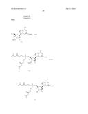 SUBSTITUTED NUCLEOSIDES, NUCLEOTIDES AND ANALOGS THEREOF diagram and image