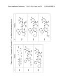 SUBSTITUTED NUCLEOSIDES, NUCLEOTIDES AND ANALOGS THEREOF diagram and image