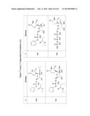 SUBSTITUTED NUCLEOSIDES, NUCLEOTIDES AND ANALOGS THEREOF diagram and image