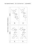 SUBSTITUTED NUCLEOSIDES, NUCLEOTIDES AND ANALOGS THEREOF diagram and image