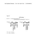 SUBSTITUTED NUCLEOSIDES, NUCLEOTIDES AND ANALOGS THEREOF diagram and image